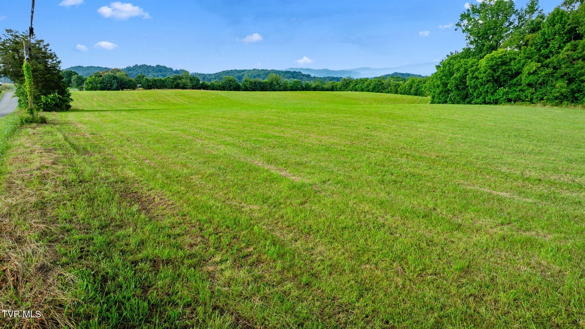Photo #8: 185 Lester Snapp Road