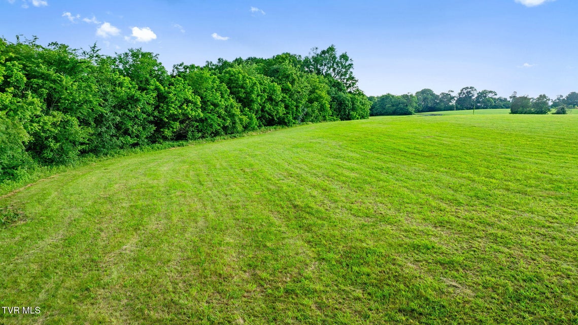 Photo #9: 185 Lester Snapp Road