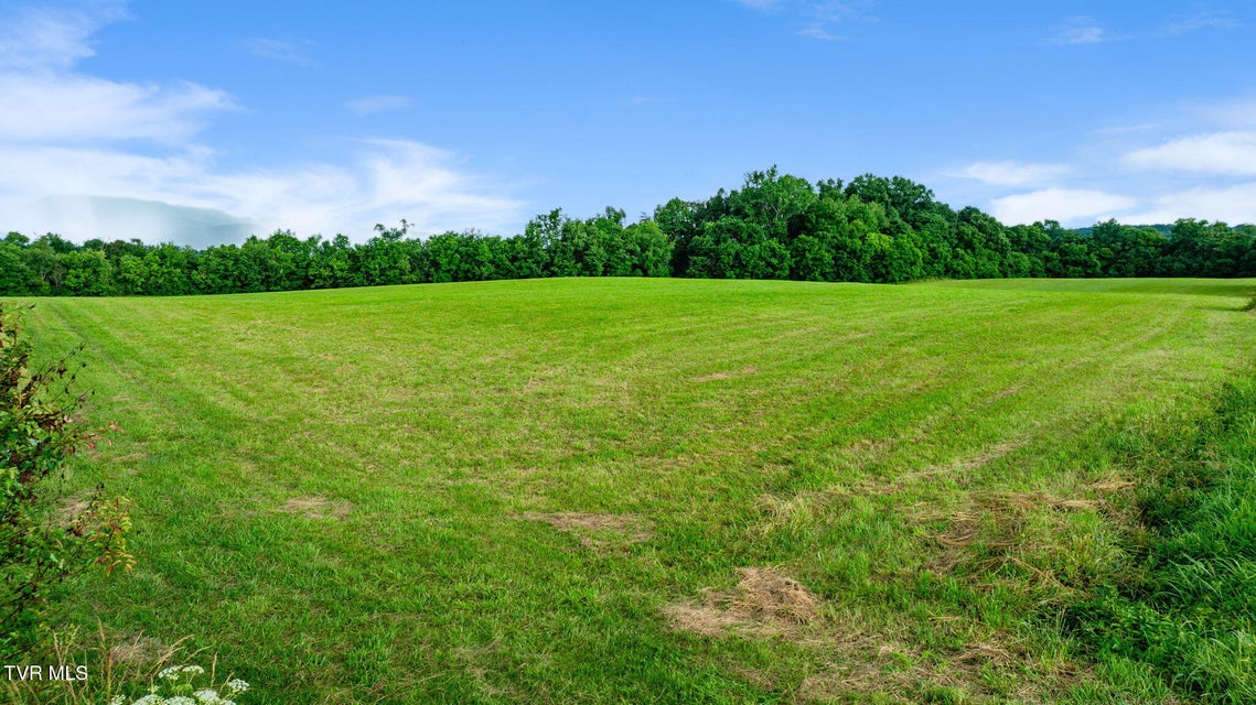 Photo #11: 185 Lester Snapp Road