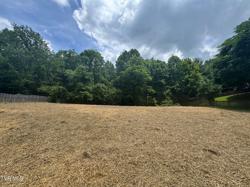 Photo #3: 1308 Walnut Grove Road
