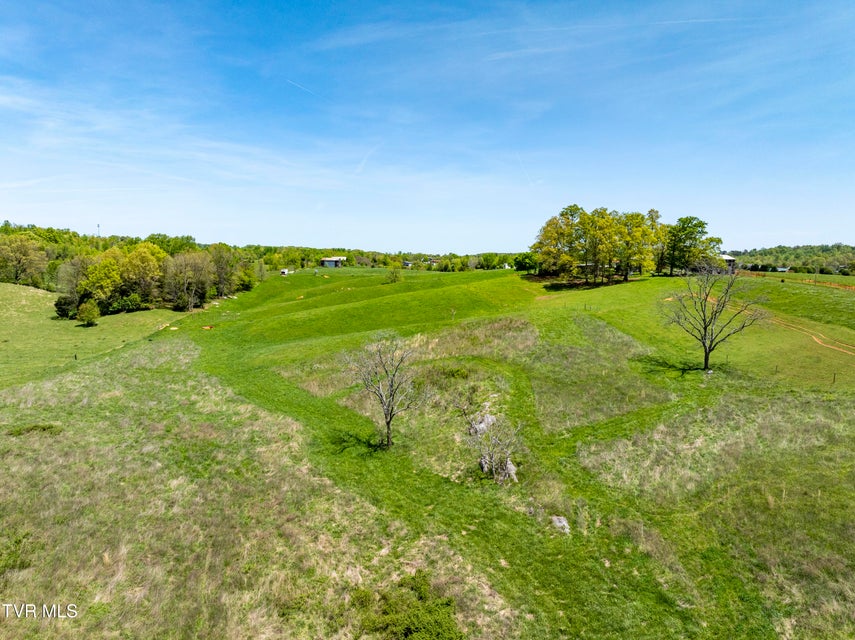 Photo #13: Tbd Briarbend Lane
