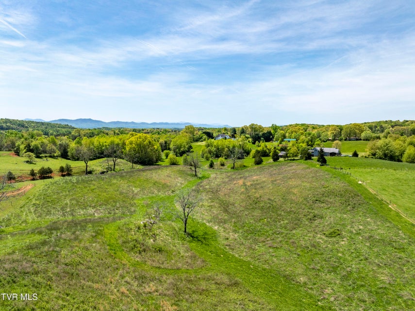 Photo #16: Tbd Briarbend Lane
