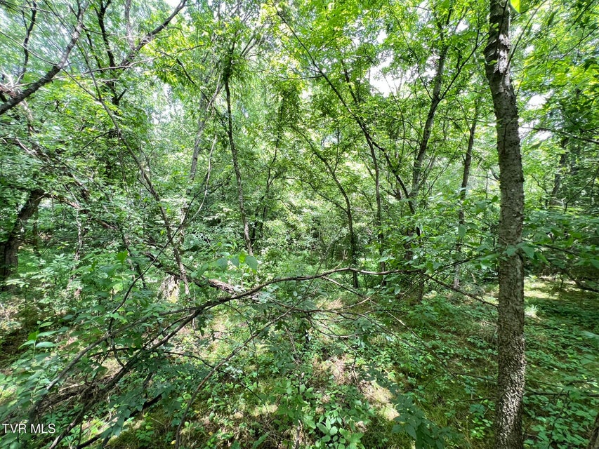 Photo #55: 2960 Poplar Springs Road