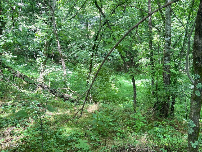 Photo #56: 2960 Poplar Springs Road