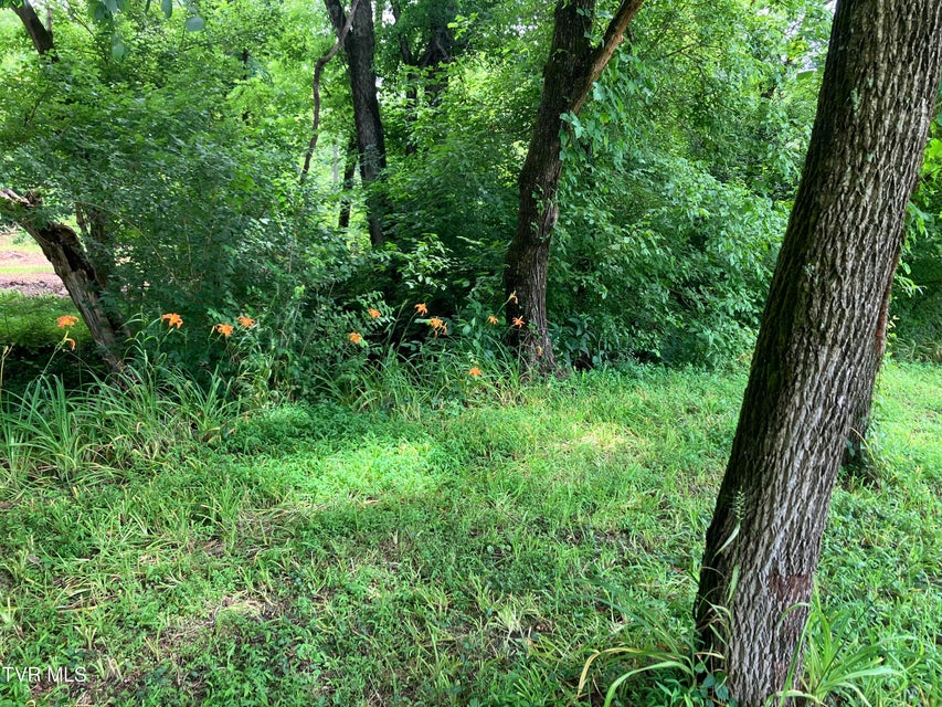 Photo #4: Tbd Treadway Trail