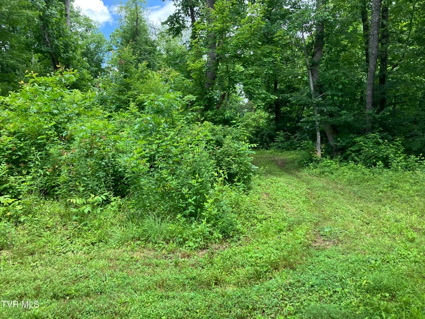 Photo #9: Tbd Treadway Trail