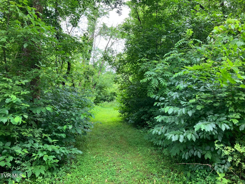 Photo #10: Tbd Treadway Trail