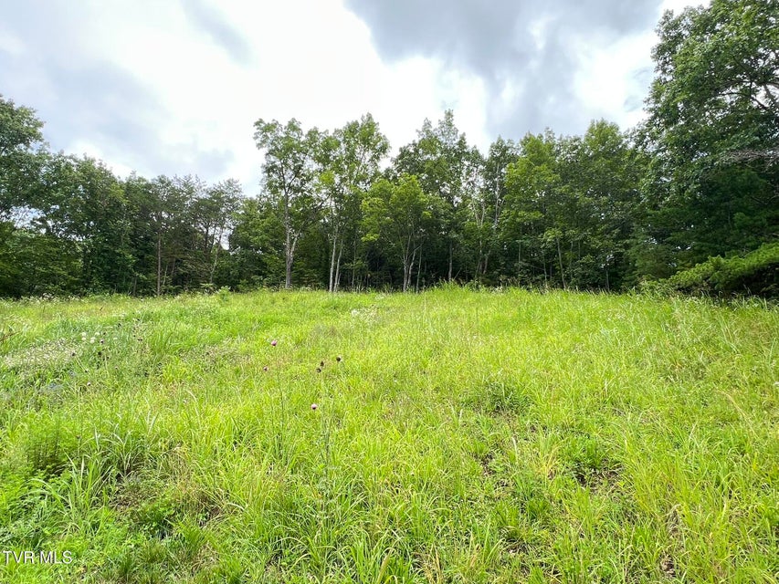 Photo #19: 3030 Poplar Springs Road Road