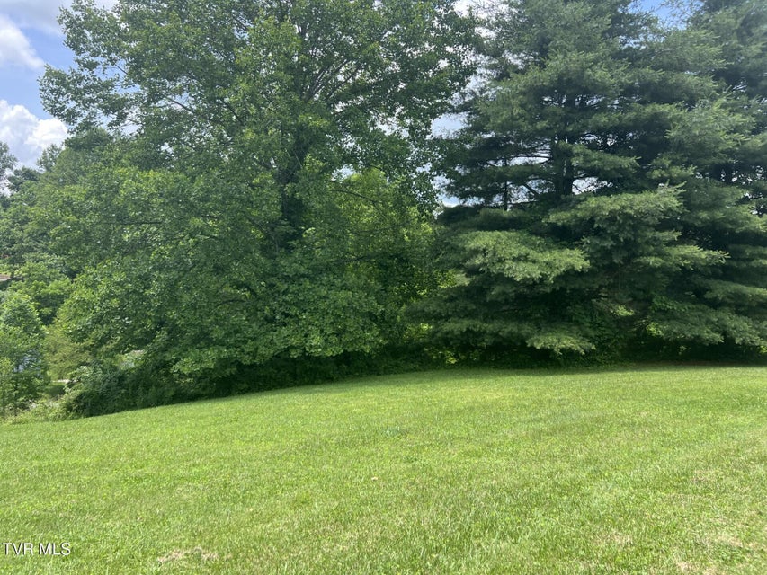 Photo #8: 3911 Tate Springs Road