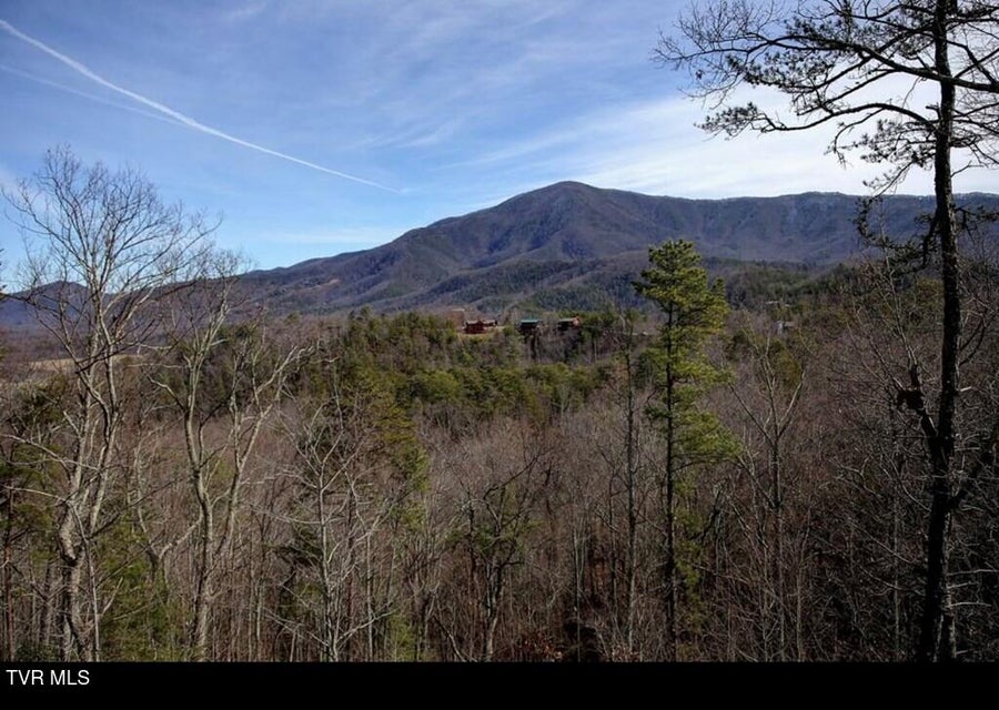 Photo #39: 3508 Mountain Glenn Way