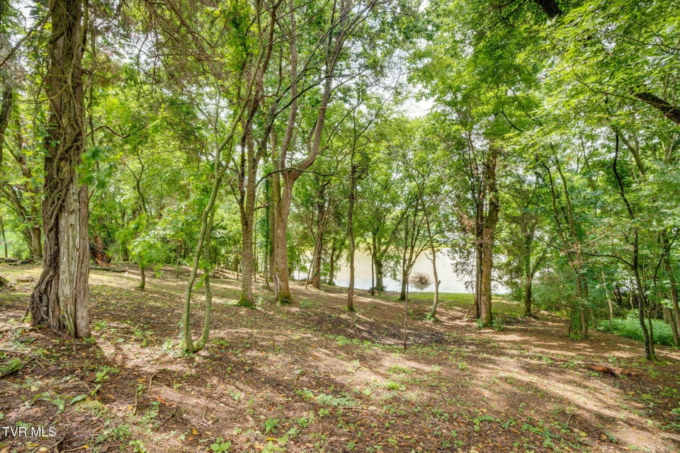 Photo #5: 4064 Paradise Drive