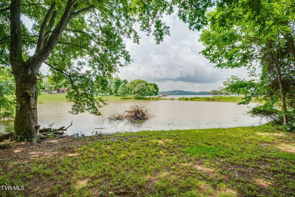 Photo #7: 4064 Paradise Drive