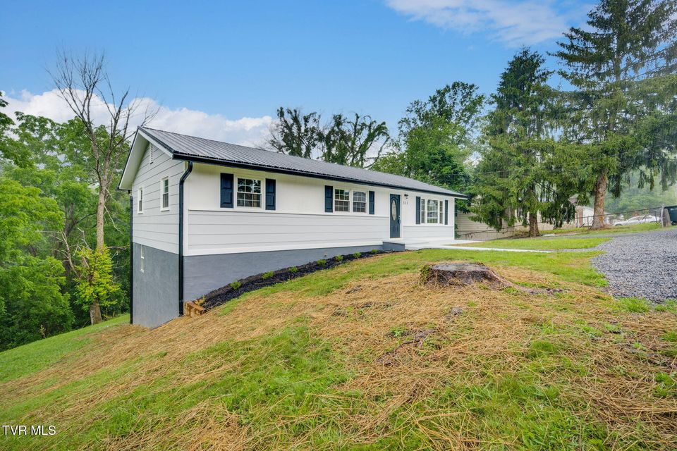 Photo #2: 313 Morelock Street