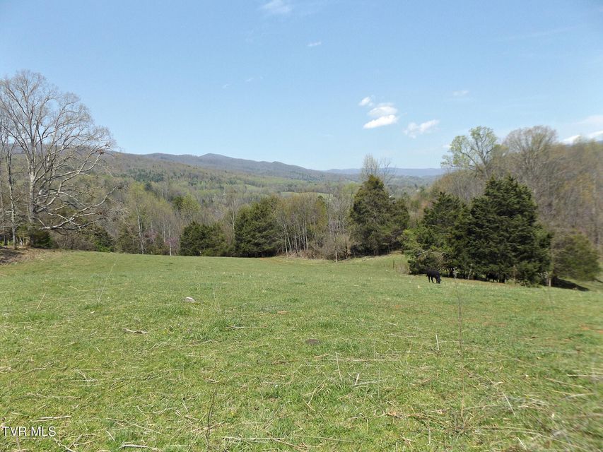 Photo #6: 855 Willow Springs Road