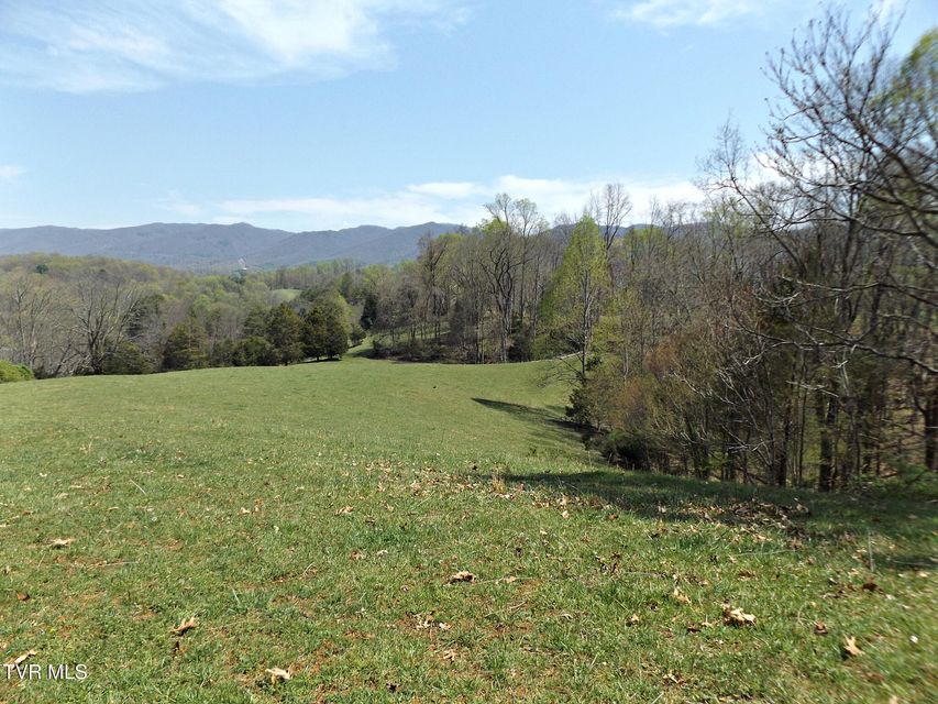 Photo #22: 855 Willow Springs Road