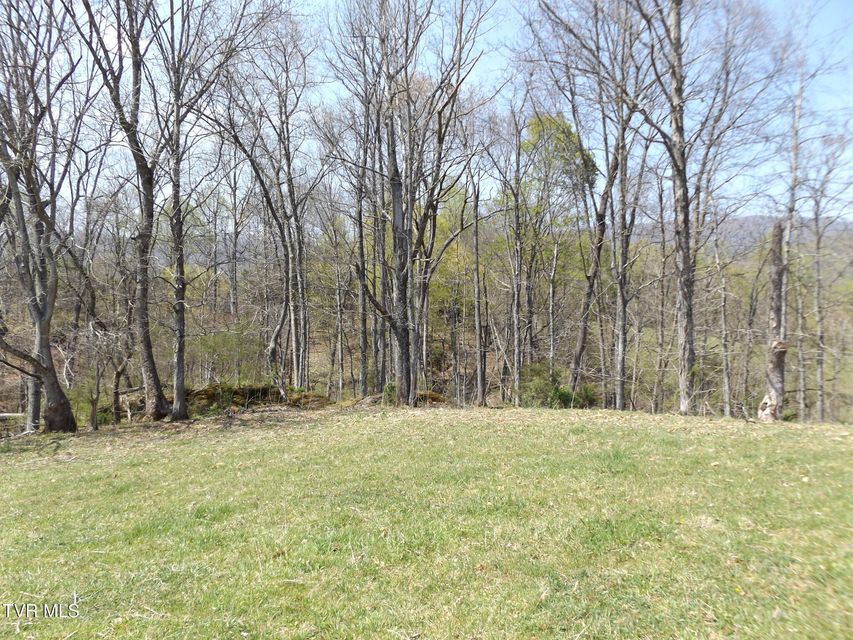 Photo #26: 855 Willow Springs Road