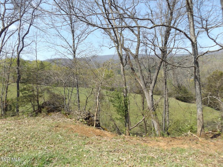 Photo #28: 855 Willow Springs Road