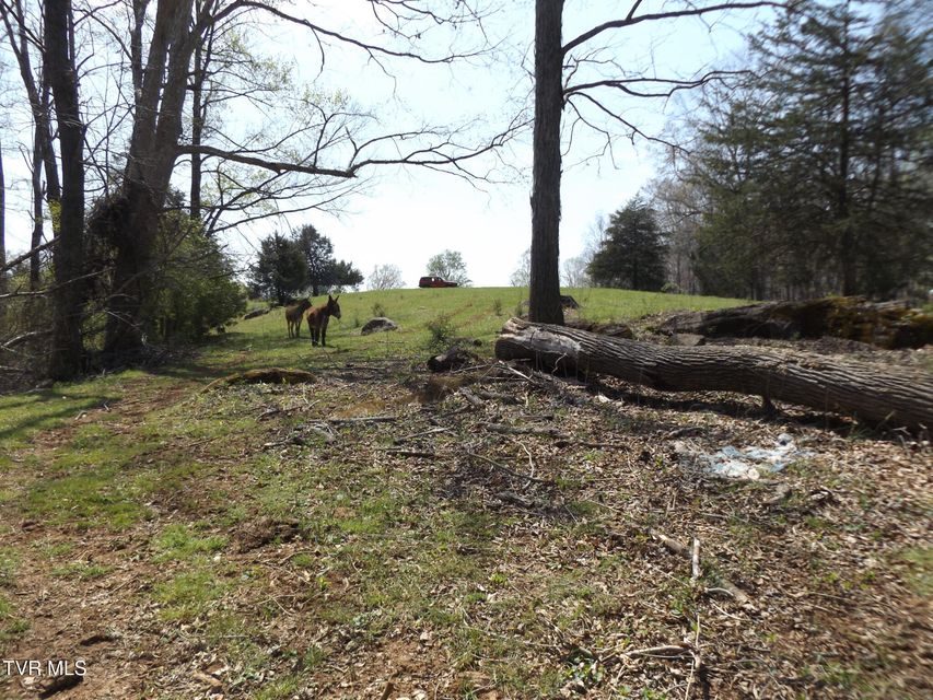 Photo #49: 855 Willow Springs Road