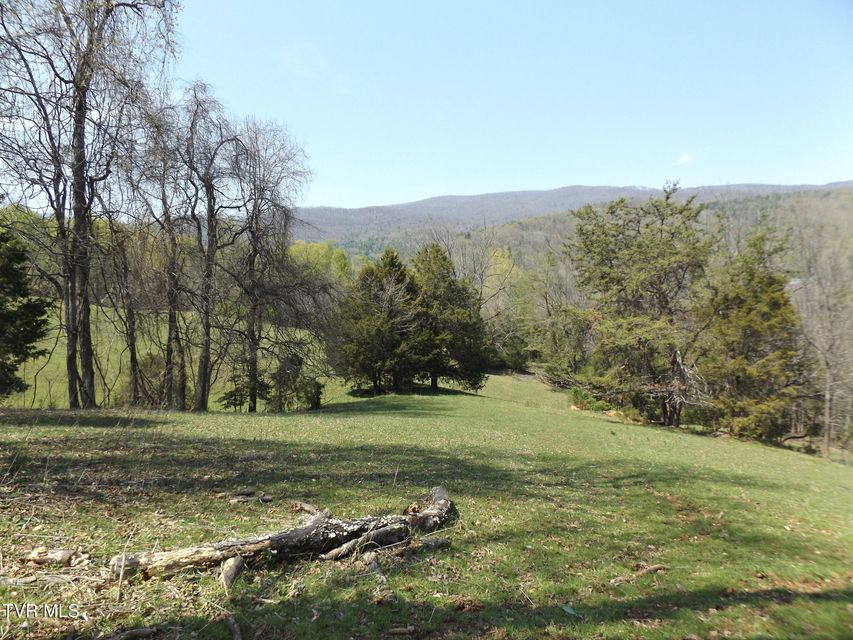 Photo #47: 855 Willow Springs Road