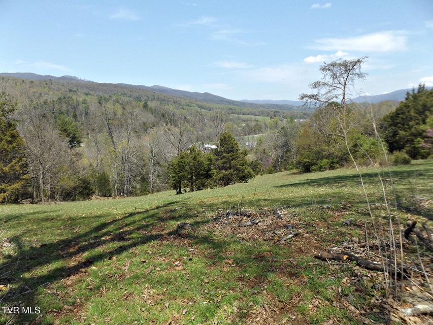 Photo #48: 855 Willow Springs Road