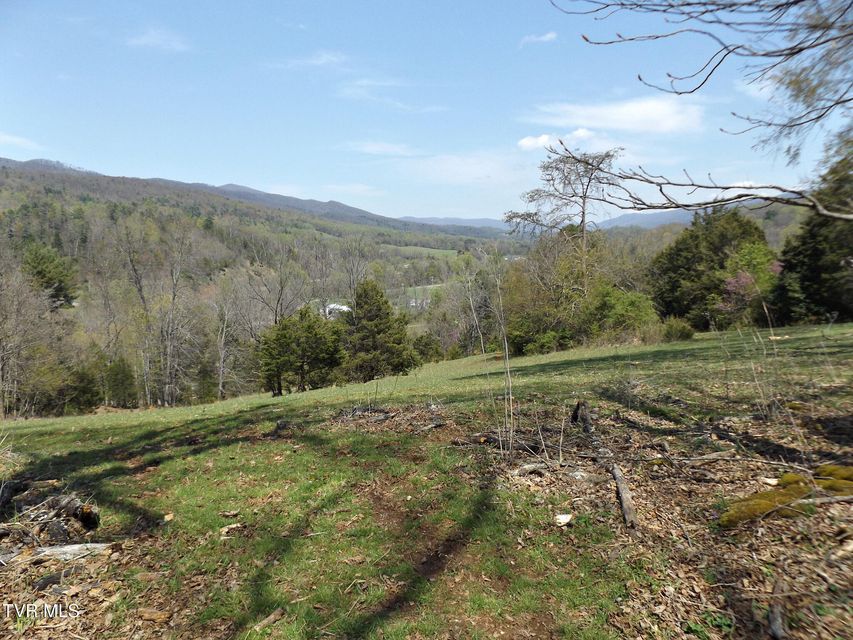 Photo #29: 855 Willow Springs Road