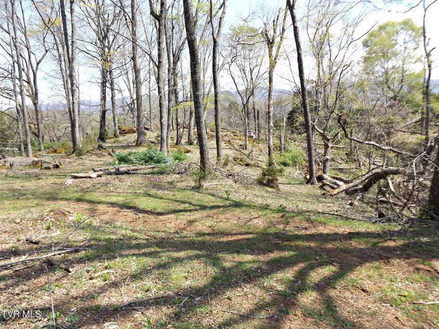 Photo #52: 855 Willow Springs Road