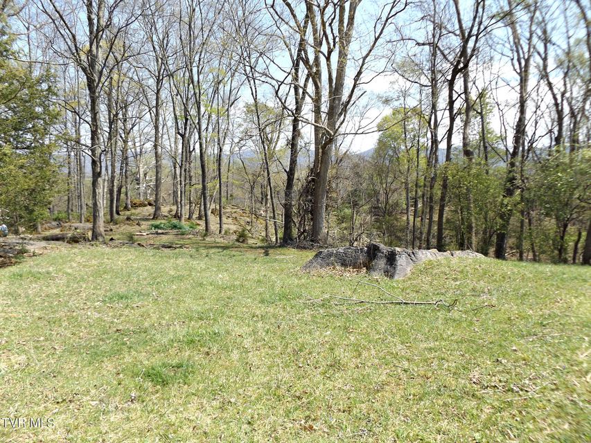 Photo #30: 855 Willow Springs Road