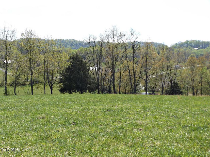 Photo #42: 855 Willow Springs Road