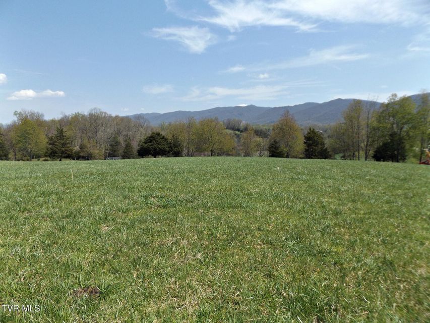 Photo #43: 855 Willow Springs Road