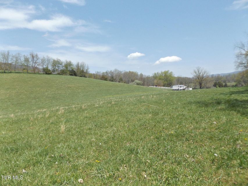 Photo #44: 855 Willow Springs Road