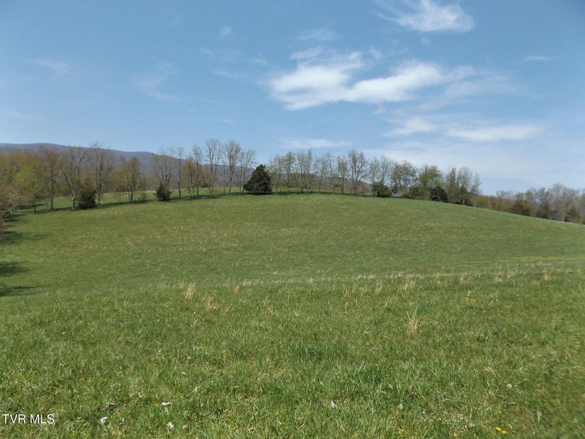 Photo #9: 855 Willow Springs Road