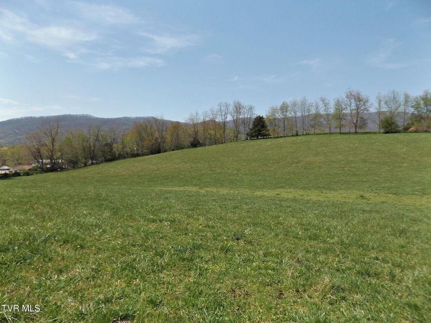 Photo #45: 855 Willow Springs Road