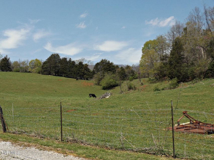 Photo #54: 855 Willow Springs Road