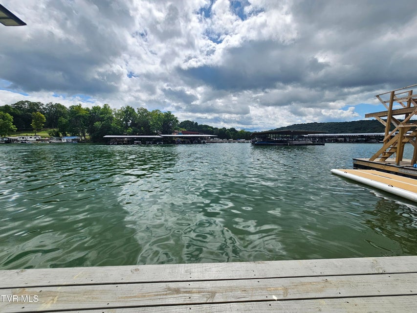 Photo #26: 411 Gammon Road