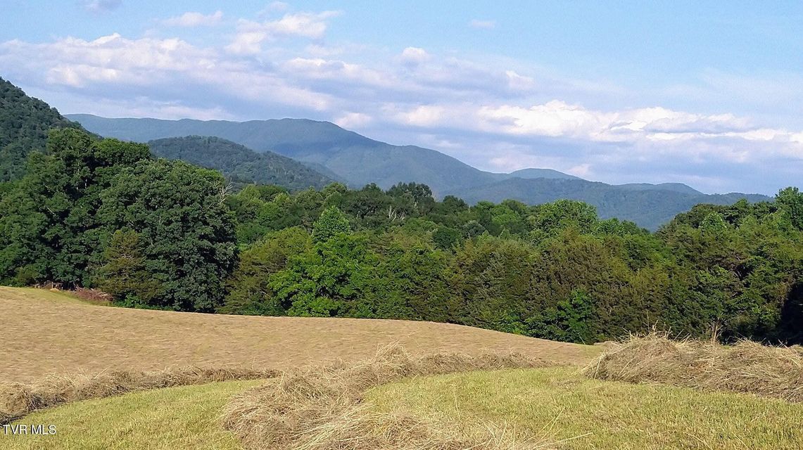 Photo #60: 8512 Asheville Highway