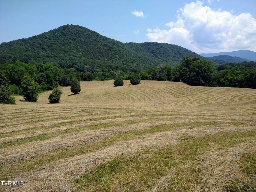 Photo #61: 8512 Asheville Highway