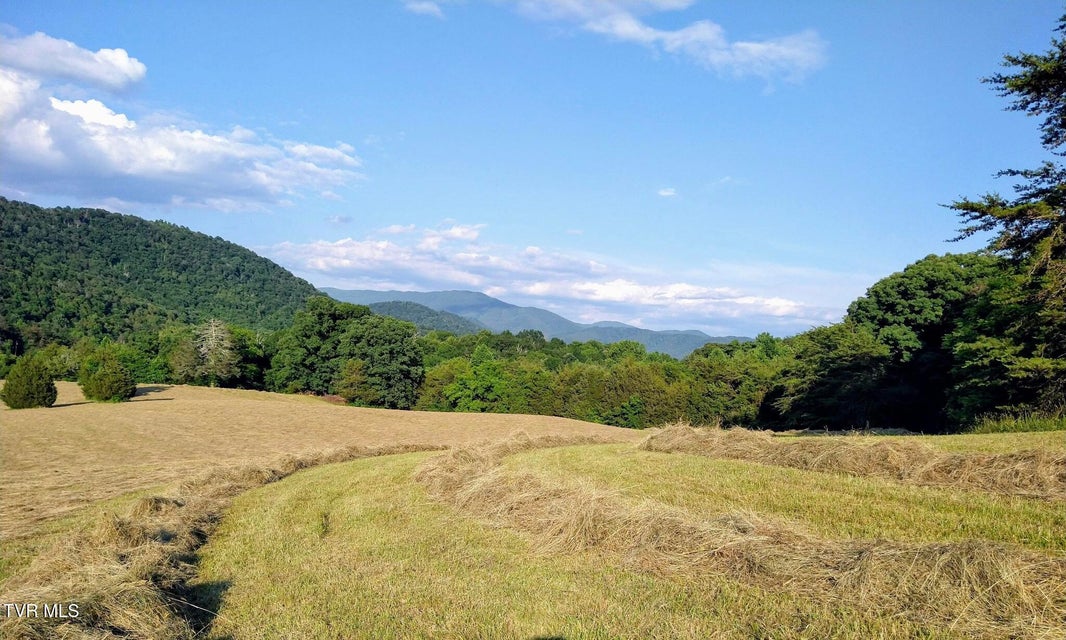 Photo #62: 8512 Asheville Highway