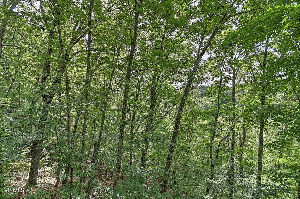 Photo #60: 1521 Barrett Hollow Road