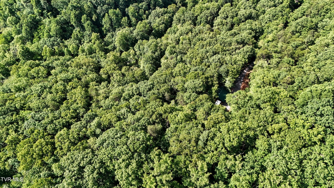 Photo #67: 1521 Barrett Hollow Road