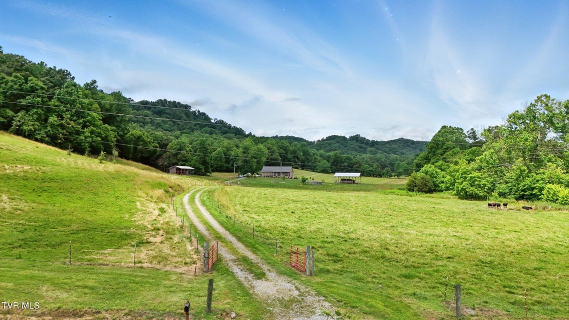 Photo #47: 351 Winegar Hollow Road