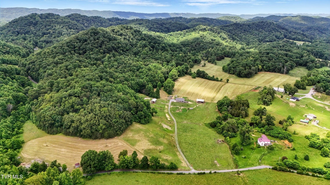 Photo #49: 351 Winegar Hollow Road