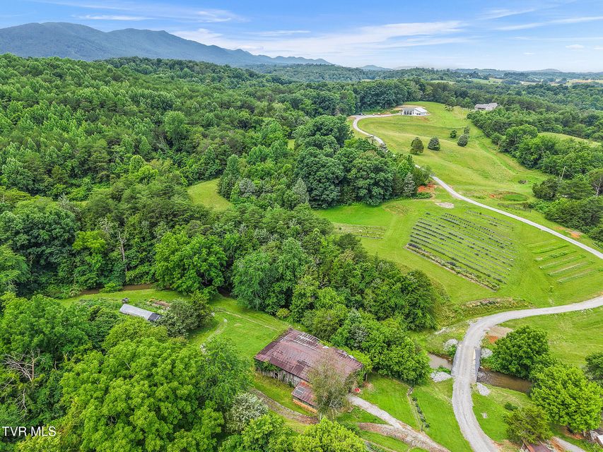 Photo #6: 8512 Asheville Highway