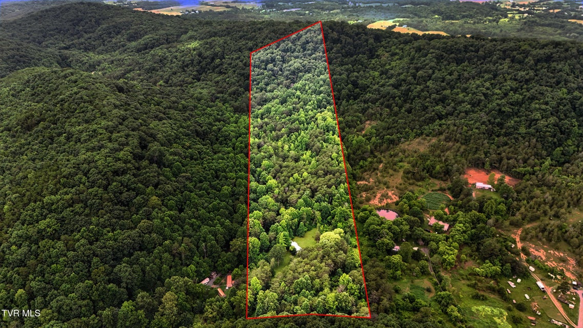 Photo #2: 994 Speedwell Road