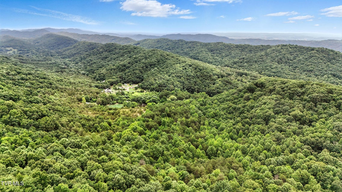 Photo #47: 994 Speedwell Road