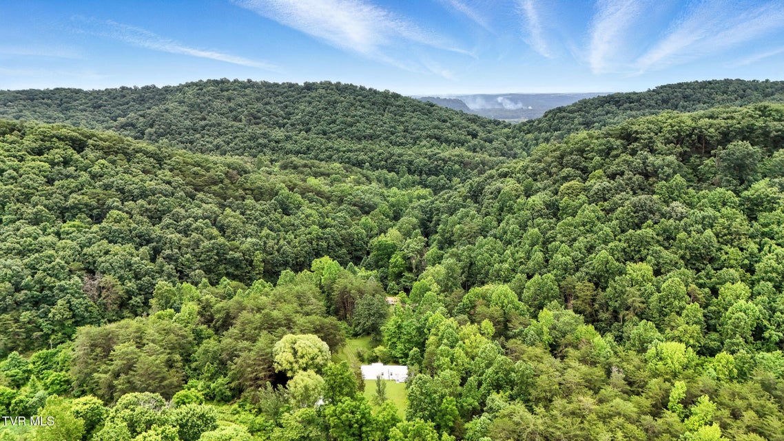 Photo #43: 994 Speedwell Road