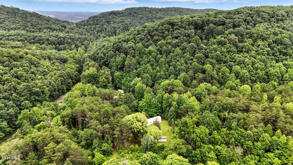 Photo #42: 994 Speedwell Road