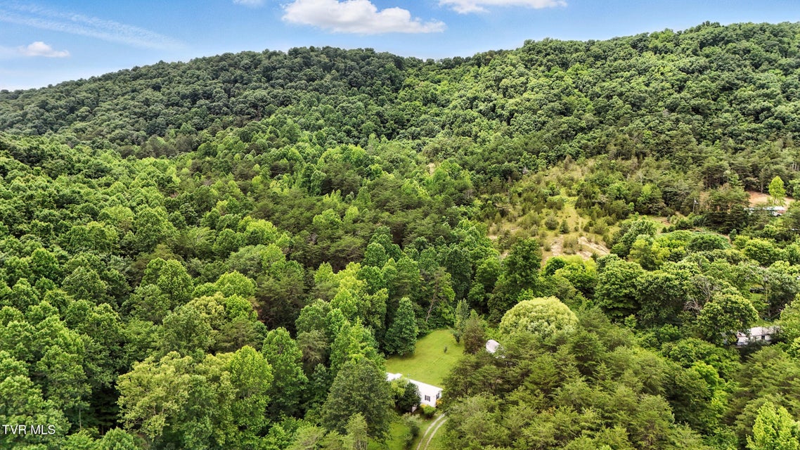 Photo #44: 994 Speedwell Road