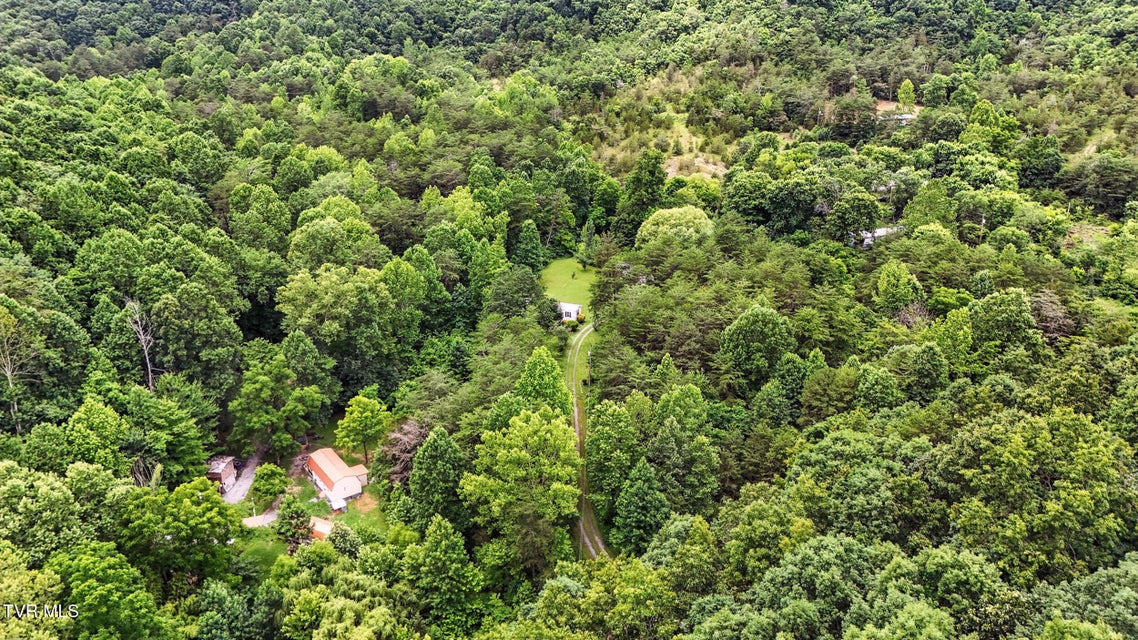 Photo #45: 994 Speedwell Road