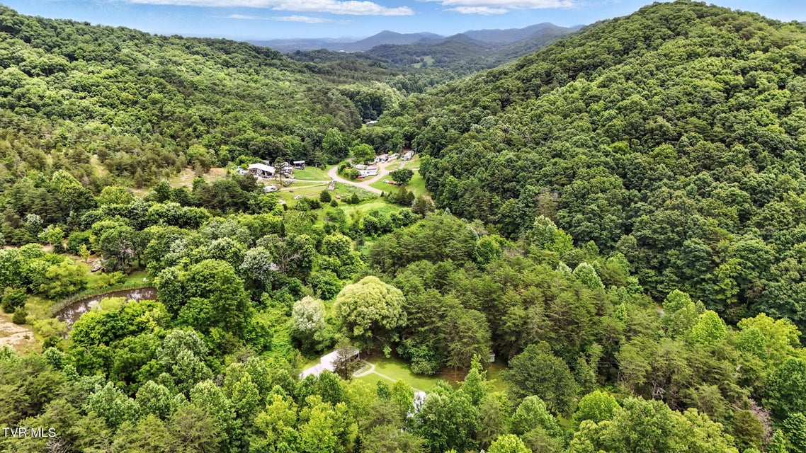 Photo #46: 994 Speedwell Road
