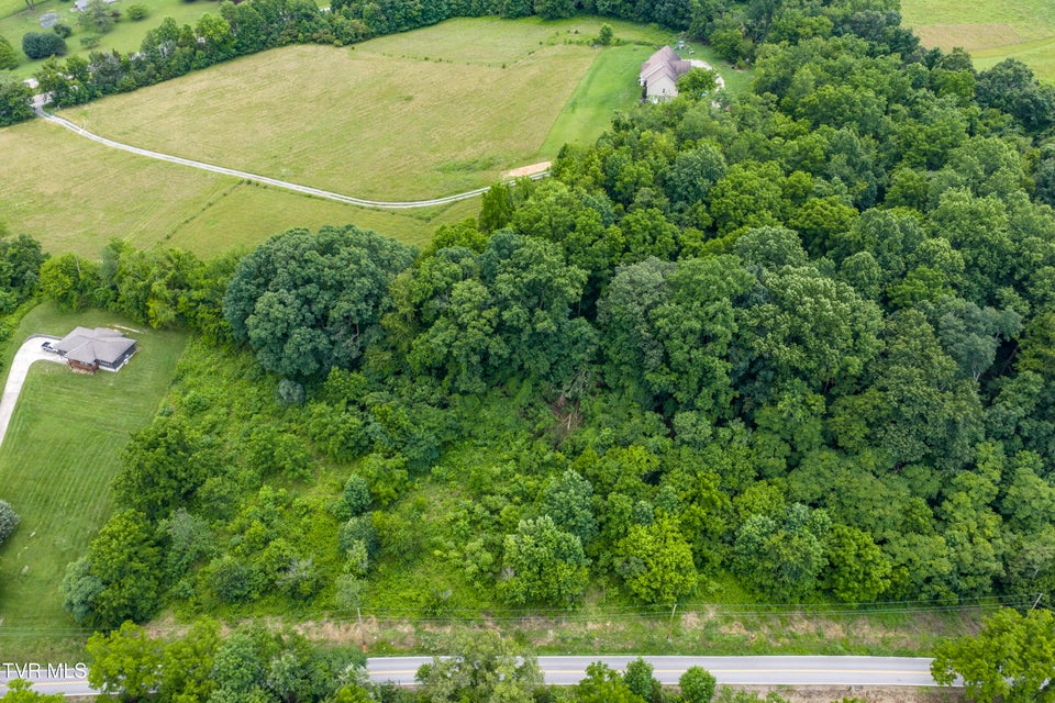 Photo #8: Lot 7 Clear Springs Road